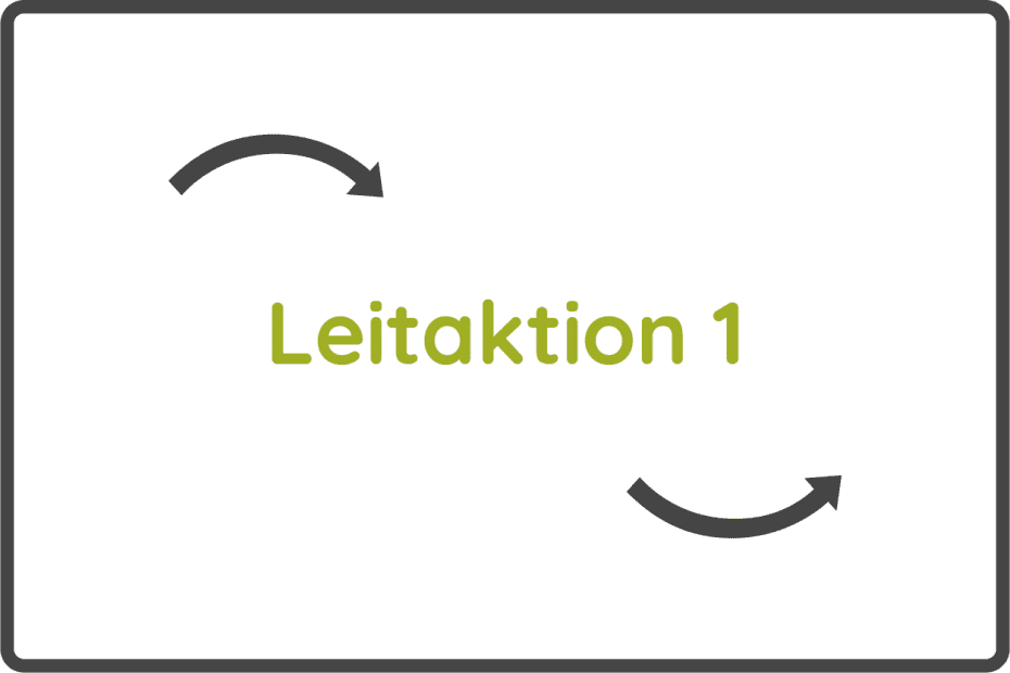 Leitaktion1